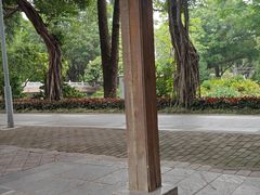 -荔湾湖公园