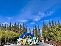 -黄海国家森林公园