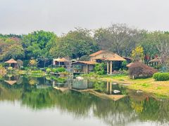 -海珠湖公园