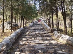 -阳台山自然风景区