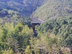 -大唐贡茶院