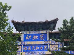 -西霞口神雕山野生动物世界