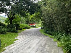 -云溪植物园