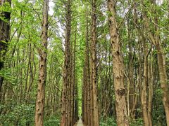 -同里国家湿地公园
