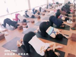 -加帕瑜伽培训学院