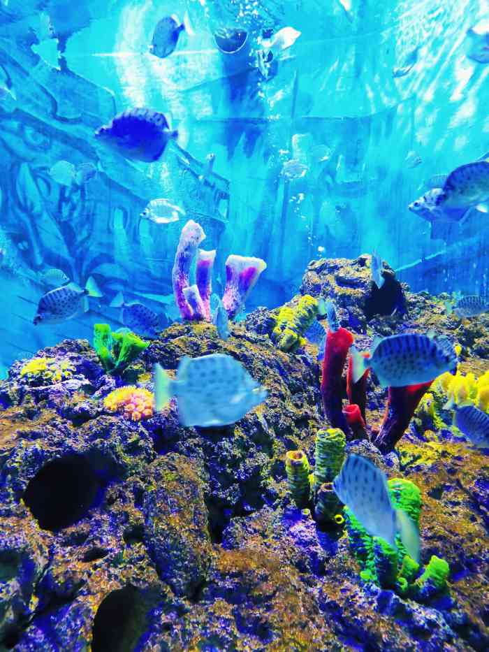 重庆汉海海洋公园