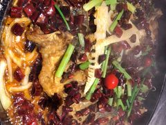 -老板恋上鱼(恒隆广场店)