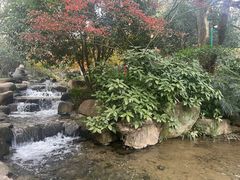 -中国茶叶博物馆(双峰馆区)