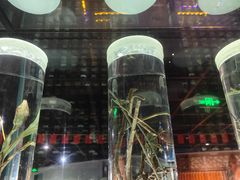 -广东中医药博物馆