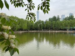 -团结湖公园