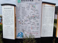 -莲花岛景区