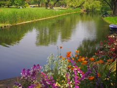 -共青国家森林公园-南大门停车场