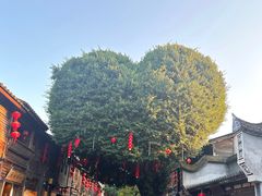 -三坊七巷历史文化街区