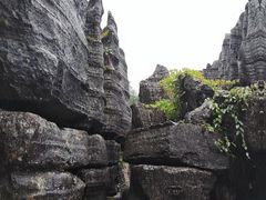 -梭布垭石林景区