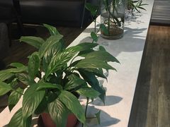 -香草意餐厅(杏石口路店)