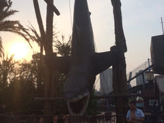 iphone_upload_pic-北京石景山游乐园