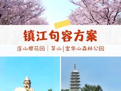 -天王浮山樱花园