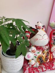 -OAE日式皮肤管理お肌の