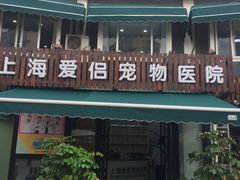 -爱侣宠医·鹦鹉专科·小型哺乳类·异宠专科(灵石路店)