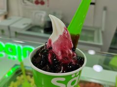 -Salud撒露欧洲冻酸奶(五道口购物中心店)