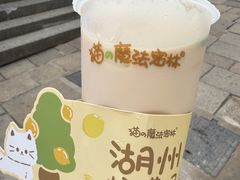 -猫的魔法密林(衣裳街店)