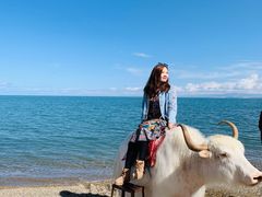 -青海湖国家重点风景名胜区