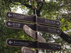 -紫金山山顶公园