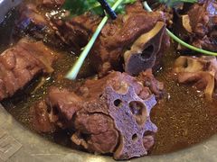 -和庆斋阳坊秘制羊蝎子火锅(云岗店)