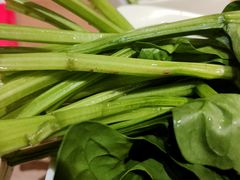 -季季红火锅(长沙步行街店)