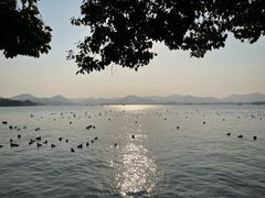 -杭州湖滨in77