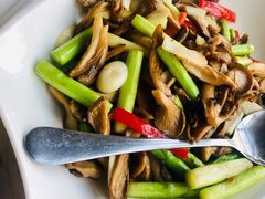 皱皮辣椒炒牛肚菌-牧雲子·臻选云南菜 .商务宴请(泰然大厦店)