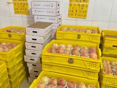 -老袁家蜜桃农场·阳山水蜜桃