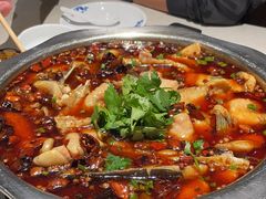 -万和源炝锅城·活鱼现炝(文艺北路店)