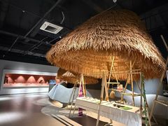 -西双版纳原始森林公园