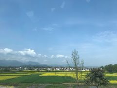 -张明富面皮店(东大街店)