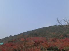 -缥缈峰景区