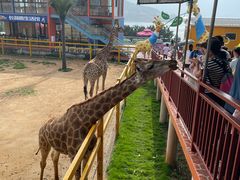 -西霞口神雕山野生动物世界