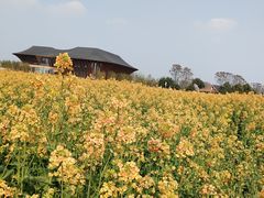 -中国天府农业博览园