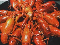 清蒸大虾-一棠龙虾(徐家汇城开YOYO店)
