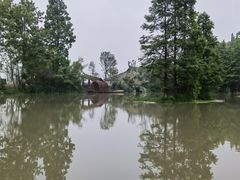 -桤木河湿地公园