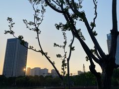 -后襄河公园