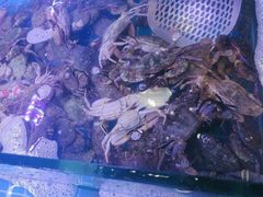 -海韵之星邮轮水会(明发商业广场店)