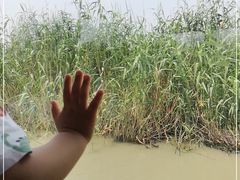 -长兴太湖图影湿地文化园