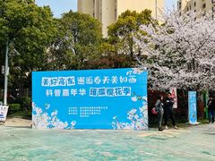 -高东镇樱花园