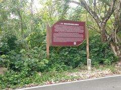 -海南热带雨林国家公园吊罗山景区