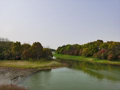 -上海海湾国家森林公园