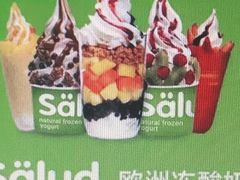 -Salud撒露欧洲冻酸奶(蓝色港湾店)