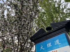 -天津五大道文化旅游区