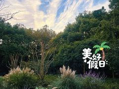 -徐家汇源景区-衡山公园