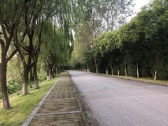 -太阳岛度假酒店